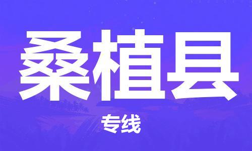 自贡到桑植县物流公司-全面仓储，全方位支持自贡至桑植县专线