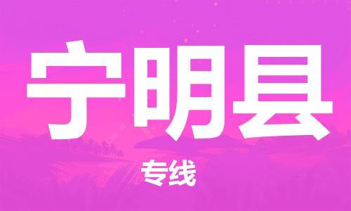 自贡到宁明县物流公司-全面仓储，全方位支持自贡至宁明县专线